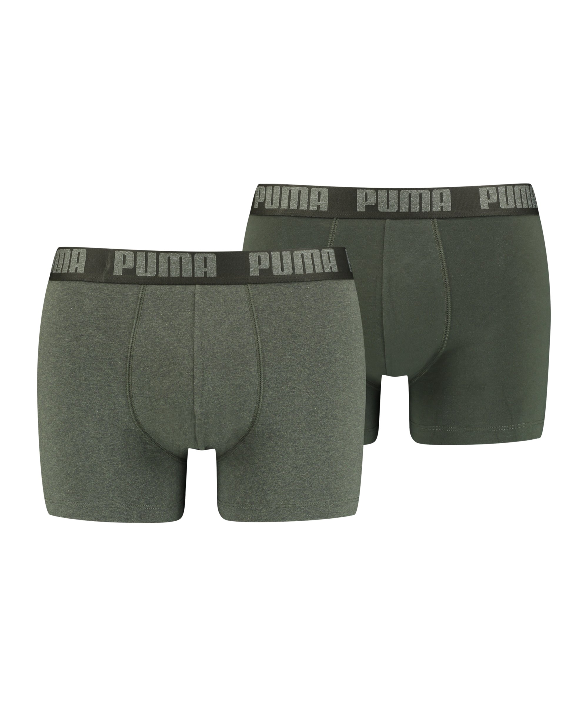 PUMA Basic Boxer 2er Pack Grün F038 - gruen
