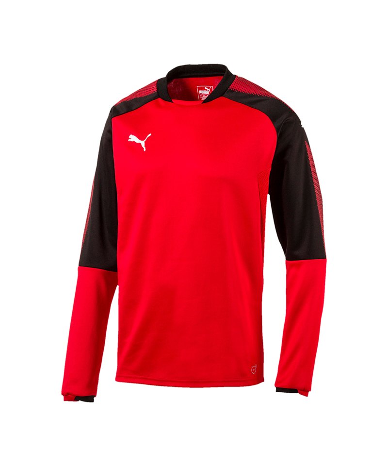 PUMA Sweatshirt Ascension Training Rot F01 - rot