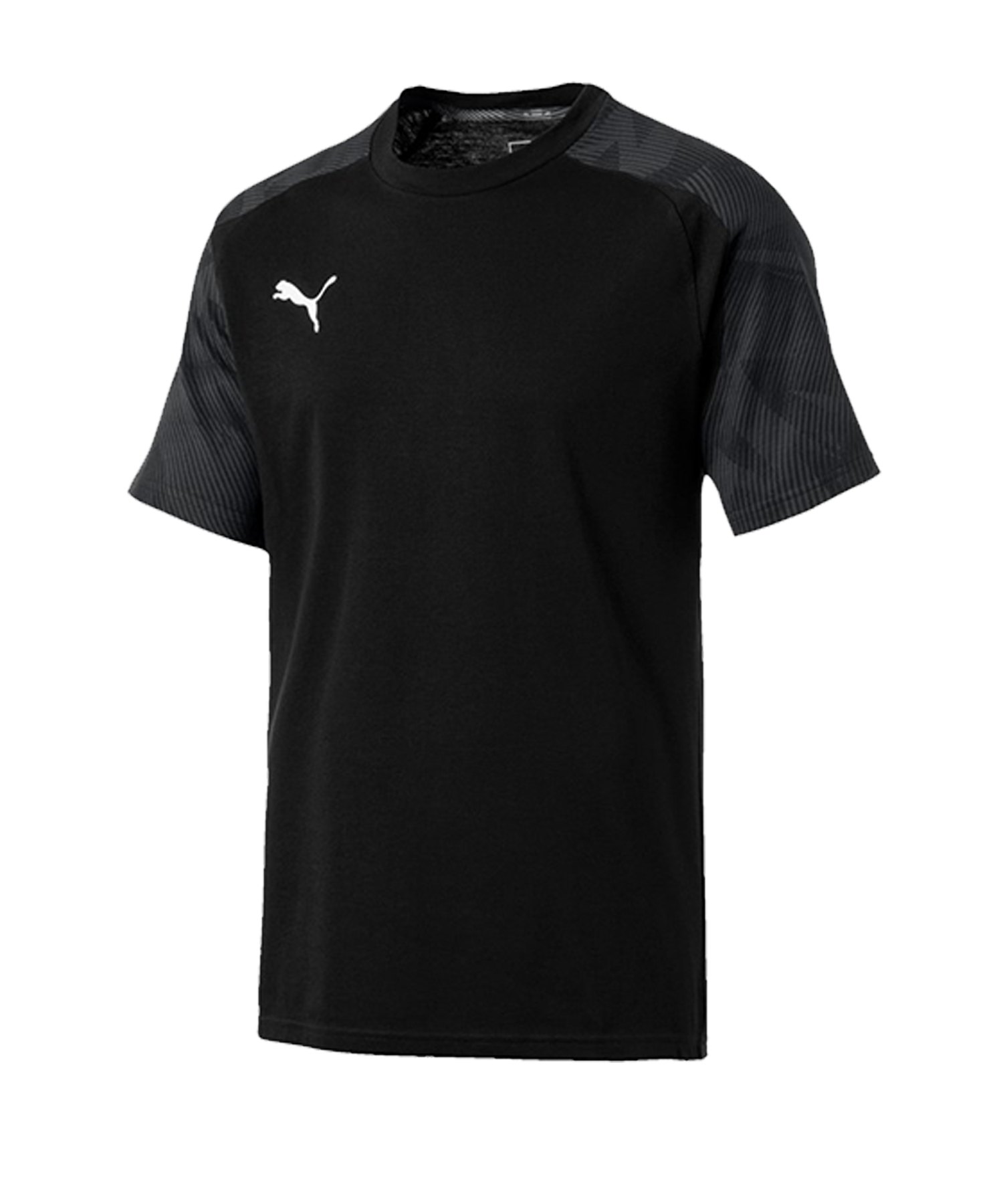 PUMA CUP Sideline T-Shirt Schwarz F03 - schwarz
