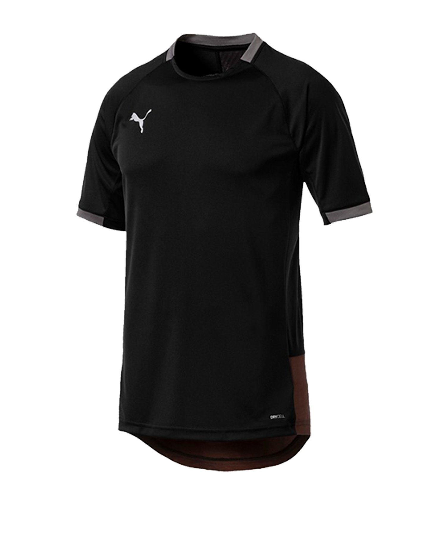 PUMA ftblNXT Pro T-Shirt Schwarz Rot F01 - schwarz
