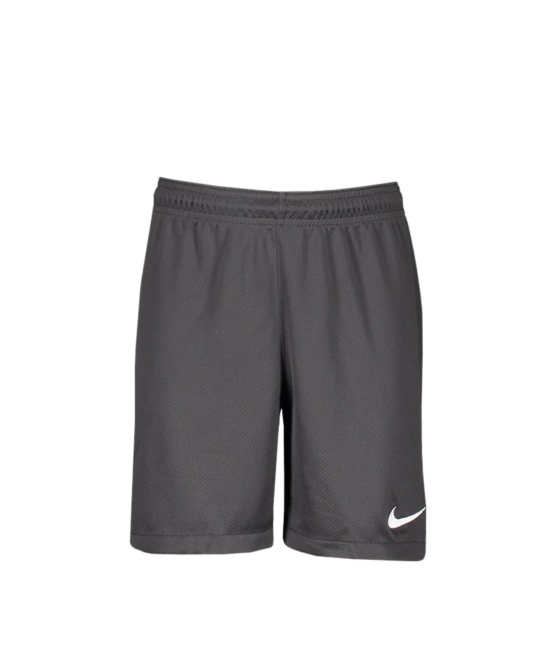 Nike Squad 17 Dry Knit Short Kids Grau Rot F060 - grau