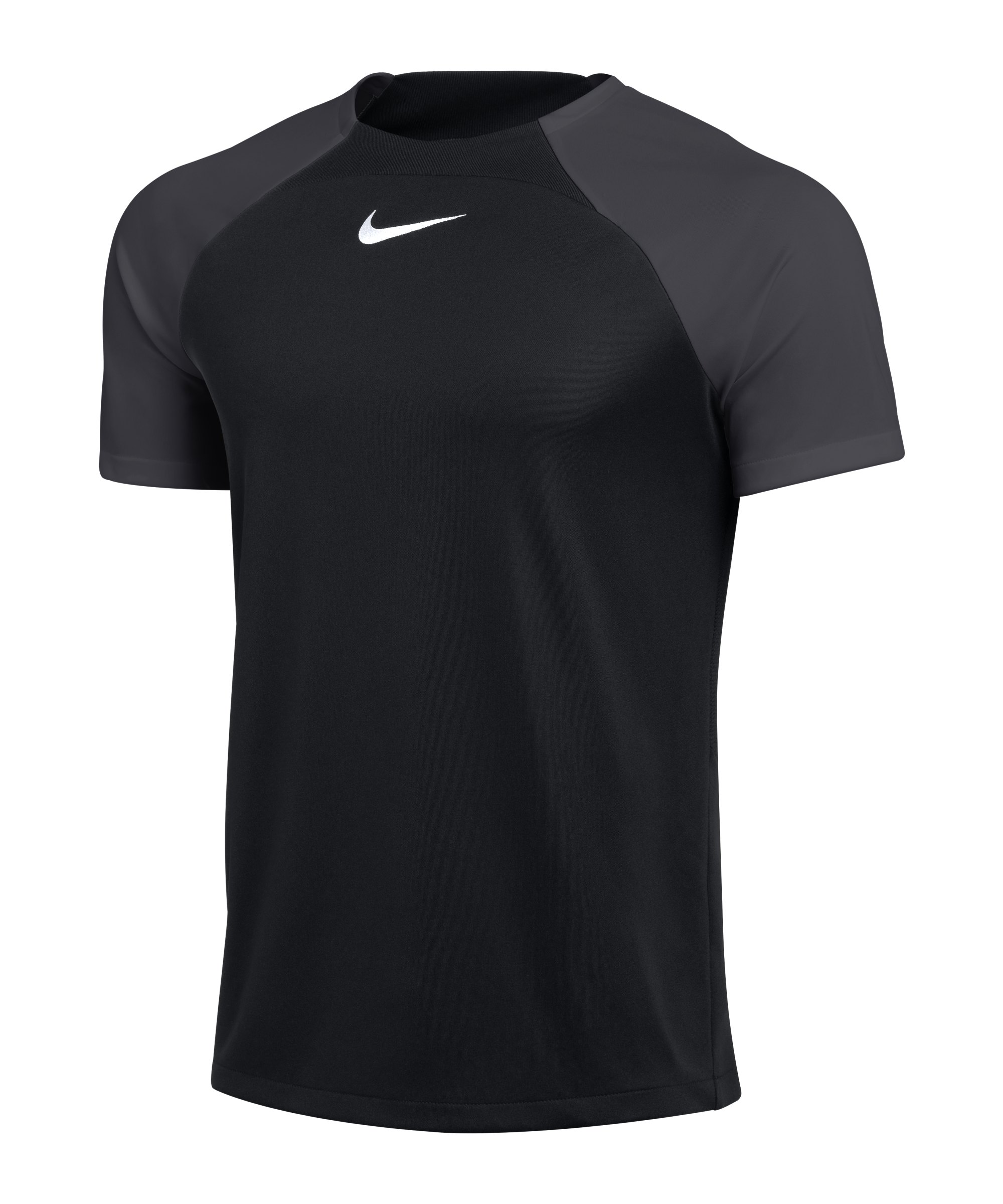 Nike Academy Pro Trainingsshirt Schwarz Grau F011 - schwarz