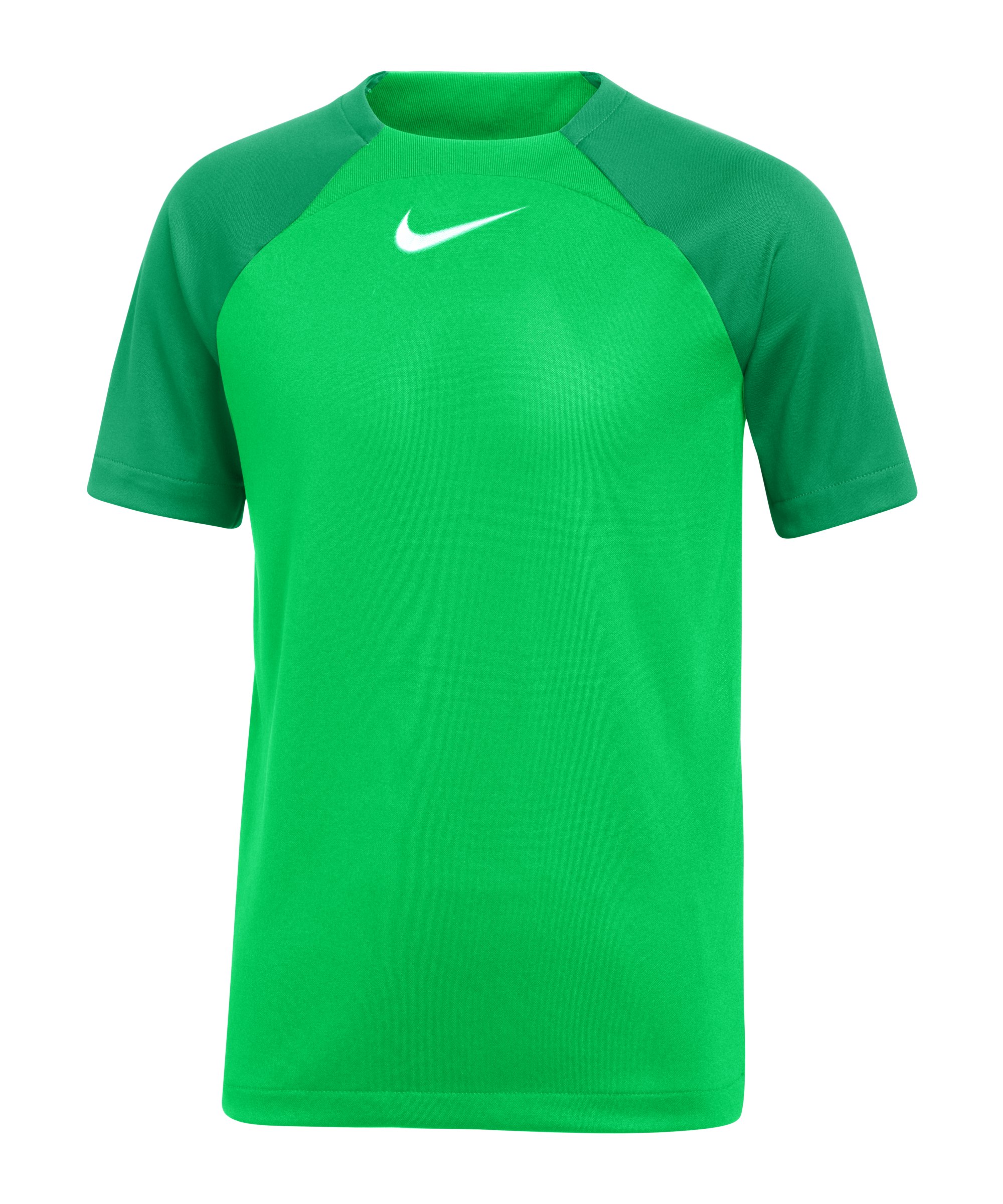 Nike Academy Pro Dri-FIT T-Shirt Kids Grün F329 - gruen