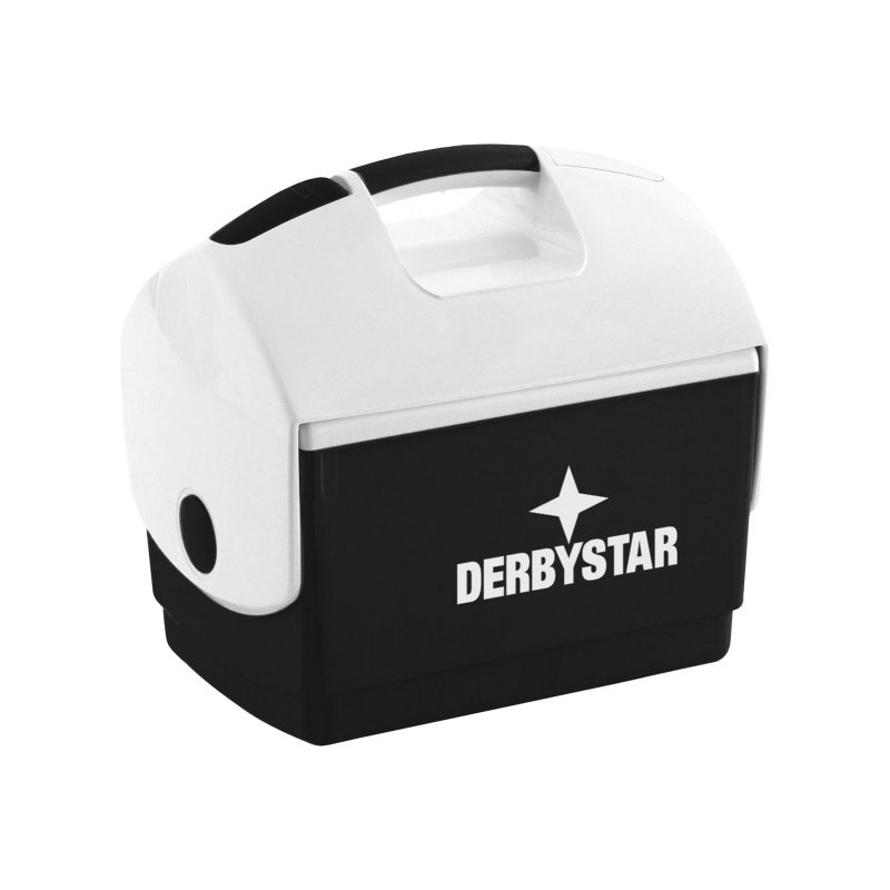 Derbystar Kühlbox 35x23x33cm Schwarz F120 - schwarz