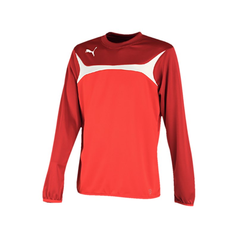 PUMA Sweatshirt Training Esito 3 Rot F01 - rot
