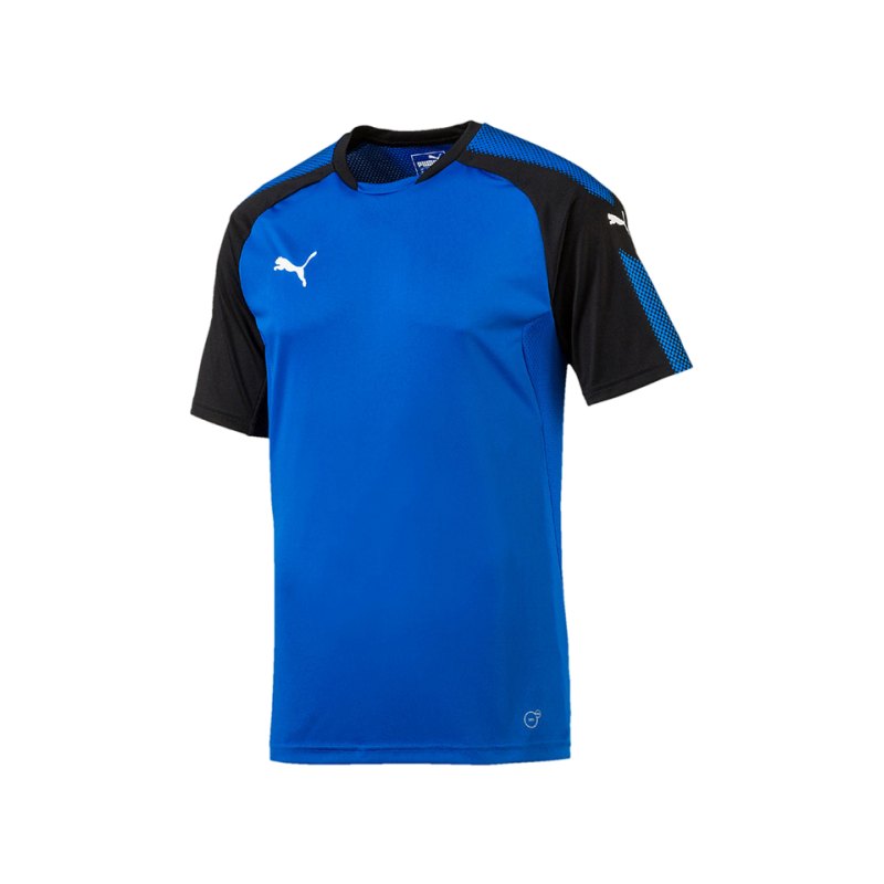 PUMA Trainingsshirt Ascension Blau Schwarz F02 - blau