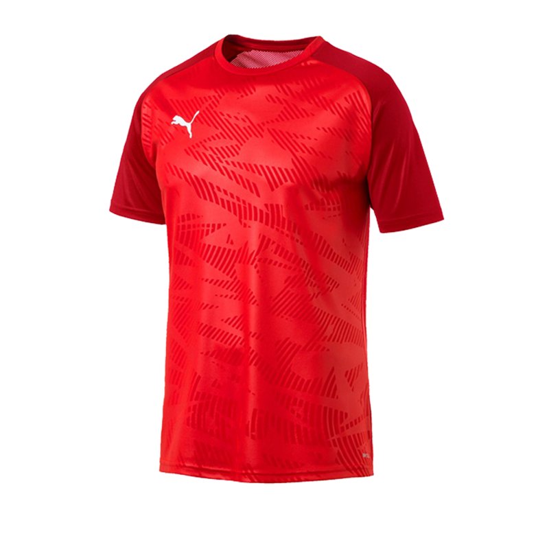 PUMA CUP Training Core T-Shirt Rot F01 - rot