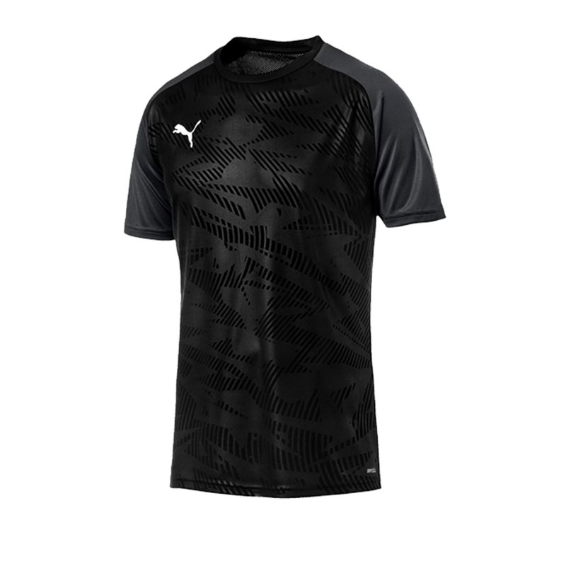 PUMA CUP Training Core T-Shirt Schwarz F03 - schwarz