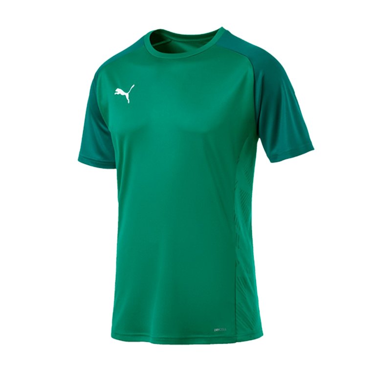 PUMA CUP Sideline Core T-Shirt Grün F05 - gruen