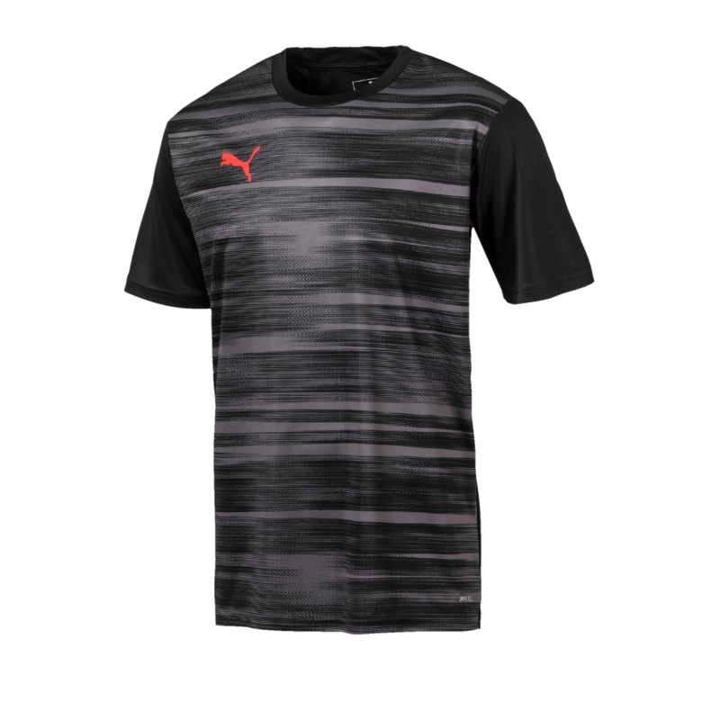 PUMA ftblNXT Graphic Shirt Core Schwarz Grau F01 - schwarz