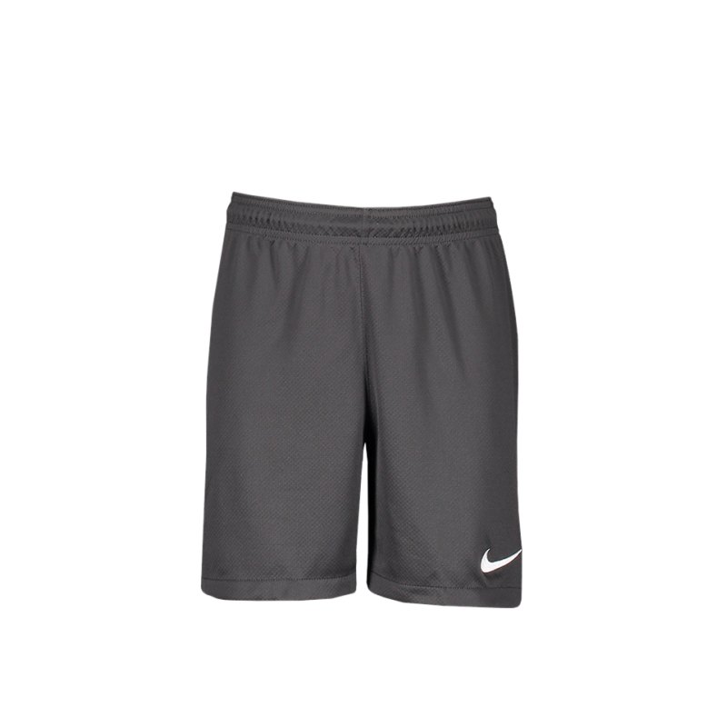 Nike Squad 17 Dry Knit Short Kids Grau Rot F060 - grau