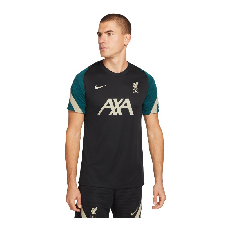 Nike FC Liverpool Strike T-Shirt Schwarz F011 - schwarz