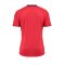 Hummel Authentic Charge SS Trikot Rot F3061 - rot