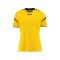 Hummel Trikot Authentic Charge SS Gelb F5001 - gelb