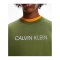Calvin Klein Performance Sweatshirt Grün F340 - gruen