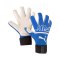 PUMA FUTURE Grip 2 SGC Faster Football TW-Handschuh Blau F04 - blau