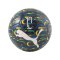 PUMA NJR Fan Graphic Ball Blau F01 - blau