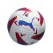 PUMA Orbita LaLiga 1 Trainingsball Weiss F01 - weiss