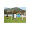 Cawila Fußball-Tennisset Naturrasen Stahlspitzen 300x80cm - mehrfarbig