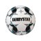 Derbystar Brillant SLight DBv20 Trainingsball F162 - weiss