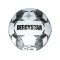 Derbystar Brillant TT v24 Trainingsball Weiss F190 - weiss