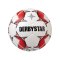 Derbystar Brillant TT AG V20 Fussball Weiss F130 - weiss