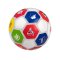 Derbystar Clublogo Pro Special Trainingsball Gr.5 Weiss F18 19/20 - weiss