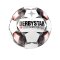 Derbystar Bundesliga Brillant S-Light 290g F123 - weiss