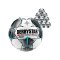 Derbystar Bundesliga Bril. Replica Light 10x Gr.5 Weiss F019 - weiss