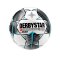 Derbystar Bundesliga Brillant Replica S-Light 290gFussball Weiss F019 - weiss