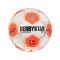 Derbystar Bundesliga Club TT v24 Trainingsball F024 - weiss