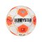 Derbystar Bundesliga Club TT v24 Trainingsball F024 - weiss