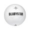 Derbystar Brillant APS Classic v22 Spielball F100 - weiss