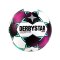 Derbystar Bundesliga Brillant APS x10 Spielball Weiss F020 - weiss