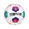 Derbystar Bundesliga Brillant APS v23 Spielball 2023/2024 Weiß F023 - weiss