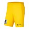 Nike TSV 1860 München TW-Short 2023/2024 Kids Gelb F719 - gelb