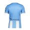 Nike TSV 1860 München Trikot Home 2023/2024 Hellblau F412 - blau