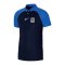 Nike TSV 1860 München Poloshirt Blau F451 - blau