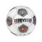 Derbystar Bundesliga Magic APS v24 Spielball F024 - weiss