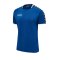 Hummel Authentic Trainingsshirt Blau F7045 - blau