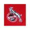 Hummel 1. FC Köln Trainingsshirt Rot F3062 - rot