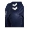 Hummel Dänemark Pro Trainingshirt Kids Blau F7026 - blau