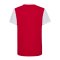 Hummel Dänemark Fan Blockshirt Kids Rot Weiss F3681 - rot