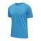 Newline Core Functional T-Shirt Running Blau F6767 - blau