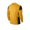 Nike Sweatshirt Academy 14 Kinder F739 Gelb - gold