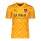 PUMA 1. FC Heidenheim TW-Trikot 2024/2025 Orange F61 - orange