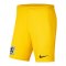 Nike TSV 1860 München TW-Short 2024/2025 Gelb F719 - gelb