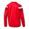 PUMA Sweatshirt Training Spirit II Rot Weiss F01 - rot