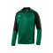 PUMA Sweatshirt Ascension Training Grün F05 - gruen