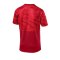 PUMA CUP Training T-Shirt Rot F01 - rot